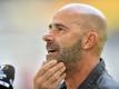 Bosz erwartet enges Champions-League-Rennen