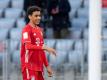 Möchte vorerst lieber für England spielen: Bayern-Youngster Jamal Musiala. Foto: Matthias Balk/dpa