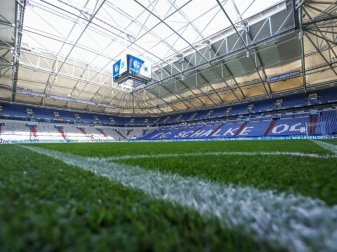 Ulm tritt das Heimrecht im Pokal an Schalke ab