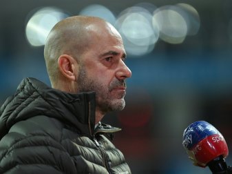 Leverkusen: Bosz unzufrieden mit Abstellpflicht Leverkusen: Bosz unzufrieden mit Abstellpflicht