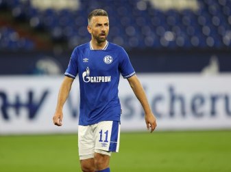 Schalke 04 löst Vertrag mit Ibisevic zum Jahresende auf Schalke 04 löst Vertrag mit Ibisevic zum Jahresende auf