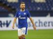 Schalke 04 löst Vertrag mit Ibisevic zum Jahresende auf