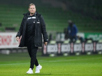 Gisdol lobt Haaland in höchsten Tönen Gisdol lobt Haaland in höchsten Tönen