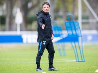 Labbadia rechnet mit Rotation - Löwen fehlt der Hertha