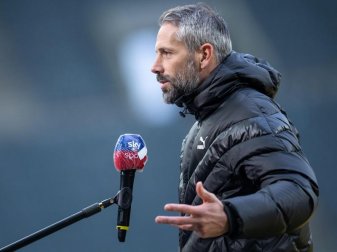 Gladbachs Trainer Marco Rose soll ein Kandidat beim BVB sein. Foto: Marius Becker/dpa Gladbachs Trainer Marco Rose soll ein Kandidat beim BVB sein. Foto: Marius Becker/dpa