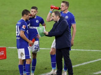 Baum will mit Schalke 04 den ersten Saisonsieg holen Baum will mit Schalke 04 den ersten Saisonsieg holen