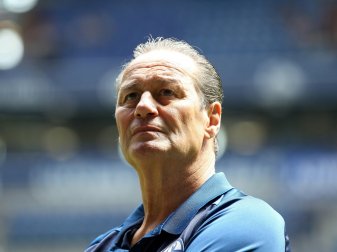 Huub Stevens soll wieder einspringen Huub Stevens soll wieder einspringen