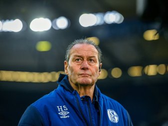 Rückkehr für Stevens Herzensangelegenheit Rückkehr für Stevens Herzensangelegenheit