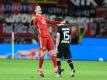 Dank Weltfußballer Robert Lewandowski drehten die Bayern das Spitzenspiel in Leverkusen. Foto: Bernd Thissen/dpa-pool/dpa
