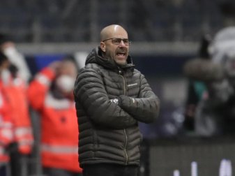 Leverkusens Trainer Peter Bosz prognostiziert eine erneute Meisterschaft des FC Bayern München. Foto: Michael Probst/AP-Pool/dpa