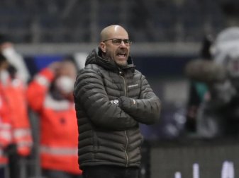 Leverkusens Trainer Peter Bosz gibt während eines Spiels Anweisungen. Foto: Michael Probst/AP-Pool/dpa