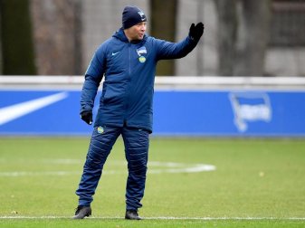 Gibt bei Hertha ab sofort wieder die Richtung vor: Pal Dardai. Foto: Britta Pedersen/dpa-Zentralbild/dpa Gibt bei Hertha ab sofort wieder die Richtung vor: Pal Dardai. Foto: Britta Pedersen/dpa-Zentralbild/dpa