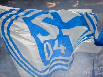 Schalke und Stölting verlängern Sponsorenvertrag Schalke und Stölting verlängern Sponsorenvertrag