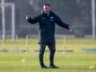 Bringt Aufbruchstimmung zu Hertha BSC: Trainer Pal Dardai. Foto: Andreas Gora/dpa