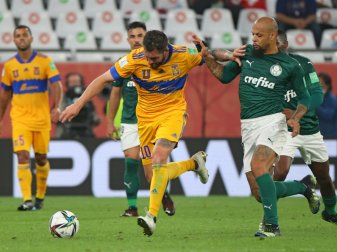 UANL Tigres feiert Sieg und steht im Finale
