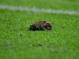 Die fehlende Winterpause und Regen haben für Rasenprobleme gesorgt. Foto: Soeren Stache/dpa-Zentralbild/dpa Die fehlende Winterpause und Regen haben für Rasenprobleme gesorgt. Foto: Soeren Stache/dpa-Zentralbild/dpa