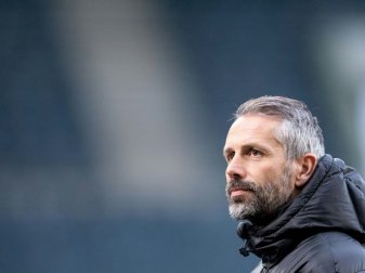 Rose verlässt Gladbach im Sommer in Richtung Dortmund Rose verlässt Gladbach im Sommer in Richtung Dortmund