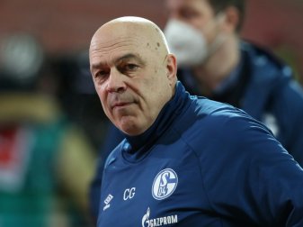 Gross und Schalke wollen im Derby wichtige Punkte holen Gross und Schalke wollen im Derby wichtige Punkte holen