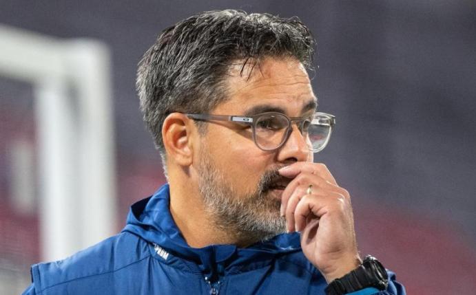 Glaubt nicht, dass der Abstieg der Königsblauen noch zu vermeiden ist: David Wagner. Foto: Matthias Balk/dpa
