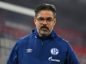 David Wagner hofft auf den Ligaverbleib von Schalke 04 David Wagner hofft auf den Ligaverbleib von Schalke 04