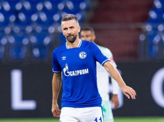 Gab nur ein kurzes Gastspiel im Trikot von Schalke 04: Vedad Ibisevic. Foto: Guido Kirchner/dpa Gab nur ein kurzes Gastspiel im Trikot von Schalke 04: Vedad Ibisevic. Foto: Guido Kirchner/dpa