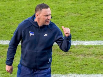 Hertha-Trainer Pal Dardai möchte, dass seine Spieler Energie auf dem Platz versprühen. Foto: Soeren Stache/dpa POOL/dpa Hertha-Trainer Pal Dardai möchte, dass seine Spieler Energie auf dem Platz versprühen. Foto: Soeren Stache/dpa POOL/dpa