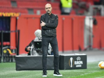 Bosz: Kein Druck wegen Trainerdiskussion Bosz: Kein Druck wegen Trainerdiskussion