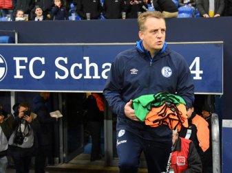 Übernimmt beim FC Schalke als Co-Trainer: Mike Büskens. Foto: Ina Fassbender/dpa