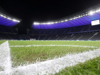 Im Berliner Olympiastadion wird ein neuer Rasen verlegt Im Berliner Olympiastadion wird ein neuer Rasen verlegt