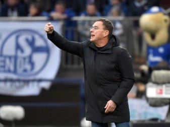 Ralf Rangnick arbeitete bereits von 2004 bis 2005 sowie im Jahr 2011 als Trainer beim FC Schalke 04. Foto: Ina Fassbender/dpa Ralf Rangnick arbeitete bereits von 2004 bis 2005 sowie im Jahr 2011 als Trainer beim FC Schalke 04. Foto: Ina Fassbender/dpa