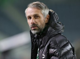 Marco Rose: Schalke gehört in die Bundesliga
