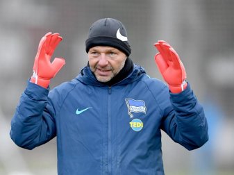 Muss als Torwart-Trainer bei Hertha BSC gehen: Zsolt Petry. Foto: Britta Pedersen/dpa-Zentralbild/dpa Muss als Torwart-Trainer bei Hertha BSC gehen: Zsolt Petry. Foto: Britta Pedersen/dpa-Zentralbild/dpa