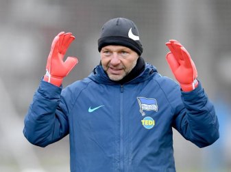 Zsolt Petry hatte sich homophob und migrationsfeindlich geäußert. Foto: Britta Pedersen/dpa-Zentralbild/dpa