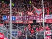 Fans halten ein Banner mit der Aufschrift «Du Hurensohn!» gegen Dietmar Hopp, Mäzen des TSG 1899 Hoffenheim. Foto: Tom Weller/dpa