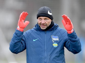 Zsolt Petry hat sich erneut gegen den Vorwurf gewehrt, in einem Interview rassistische und homophobe Äußerungen getätigt zu haben. Foto: Britta Pedersen/dpa-Zentralbild/dpa Zsolt Petry hat sich erneut gegen den Vorwurf gewehrt, in einem Interview rassistische und homophobe Äußerungen getätigt zu haben. Foto: Britta Pedersen/dpa-Zentralbild/dpa