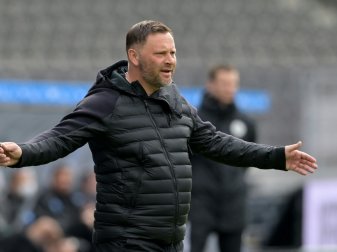 Trotz Isolation: Dardai hält Kontakt zur Mannschaft Trotz Isolation: Dardai hält Kontakt zur Mannschaft