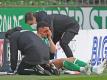 Brach sich gegen Mainz das Nasenbein: Milos Veljkovic. Foto: Carmen Jaspersen/dpa