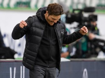 Will mit dem BVB den Pott in den Pott holen: Trainer Edin Terzic. Foto: Swen Pförtner/dpa Will mit dem BVB den Pott in den Pott holen: Trainer Edin Terzic. Foto: Swen Pförtner/dpa