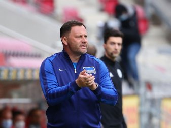 Pal Dardai hat den Sieg gegen Bielefeld im Visier Pal Dardai hat den Sieg gegen Bielefeld im Visier