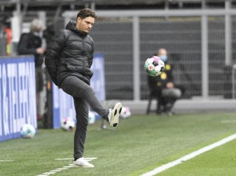 Für Ex-Nationalspieler Dietmar Hamann wird der momentane Dortmund-Trainer Edin Terzic nicht bei der Borussia bleiben. Foto: Bernd Thissen/dpa Für Ex-Nationalspieler Dietmar Hamann wird der momentane Dortmund-Trainer Edin Terzic nicht bei der Borussia bleiben. Foto: Bernd Thissen/dpa