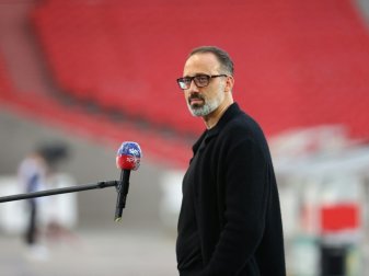 VfB-Trainer Pellegrino Matarazzo VfB-Trainer Pellegrino Matarazzo