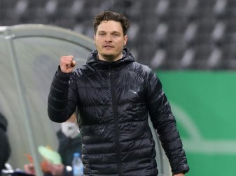Edin Terzic trifft am Samstag auf Hannes Wolf Edin Terzic trifft am Samstag auf Hannes Wolf