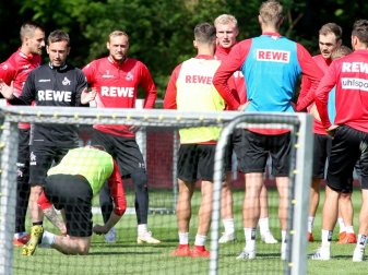 Der Bundesligist 1. FC Köln beim Training Der Bundesligist 1. FC Köln beim Training