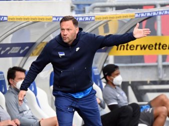 Hertha-Trainer Pal Dardai hat mit den Berlinern die Klasse gehalten. Foto: Uli Deck/dpa Hertha-Trainer Pal Dardai hat mit den Berlinern die Klasse gehalten. Foto: Uli Deck/dpa