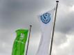 Der VfL Wolfsburg gehört mehrheitlich dem VW-Konzern. Foto: picture alliance / Peter Steffen/dpa/Archiv