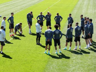 Für den Titelgewinn winkt den deutschen Nationalspielern angeblich eine Rekordprämie. Foto: Christian Charisius/dpa Für den Titelgewinn winkt den deutschen Nationalspielern angeblich eine Rekordprämie. Foto: Christian Charisius/dpa