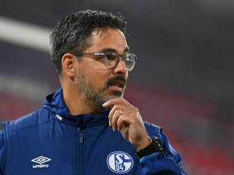 David Wagner wird Trainer bei den Young Boys Bern David Wagner wird Trainer bei den Young Boys Bern