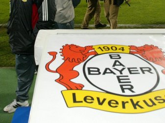 Bayer verstärkt sich mit Talenten aus den Niederlanden Bayer verstärkt sich mit Talenten aus den Niederlanden