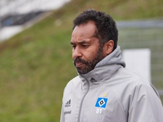 Daniel Thioune würde gerne als Trainer in der Bundesliga arbeiten. Foto: Georg Wendt/dpa Daniel Thioune würde gerne als Trainer in der Bundesliga arbeiten. Foto: Georg Wendt/dpa