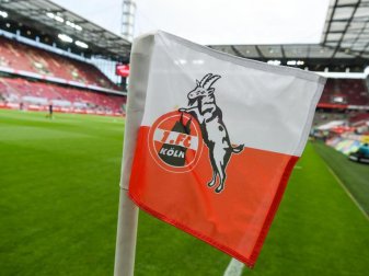 Das Logo des 1. FC Köln an einer Eckfahne im RheinEnergieStadion. Foto: Christophe Gateau/dpa Das Logo des 1. FC Köln an einer Eckfahne im RheinEnergieStadion. Foto: Christophe Gateau/dpa
